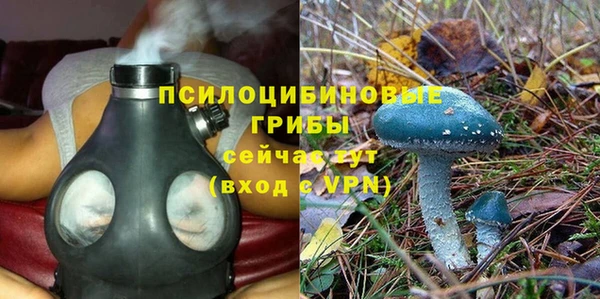 прущая мука Богданович