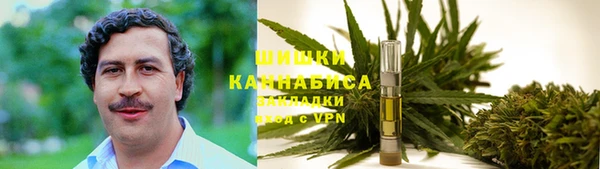 прущая мука Богданович