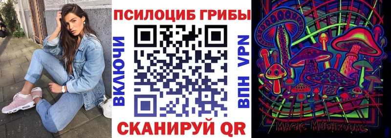 Псилоцибиновые грибы Psilocybine cubensis  Купить где  Фатеж 