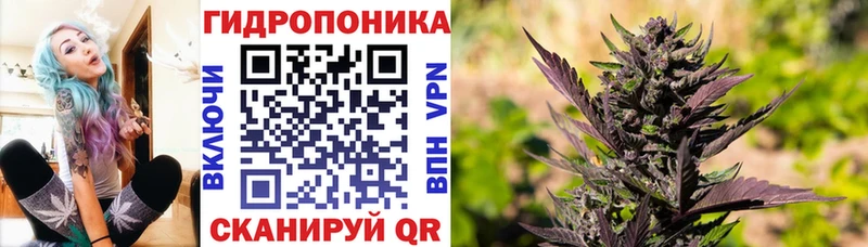 Купить где  Фатеж  Марихуана Ganja 